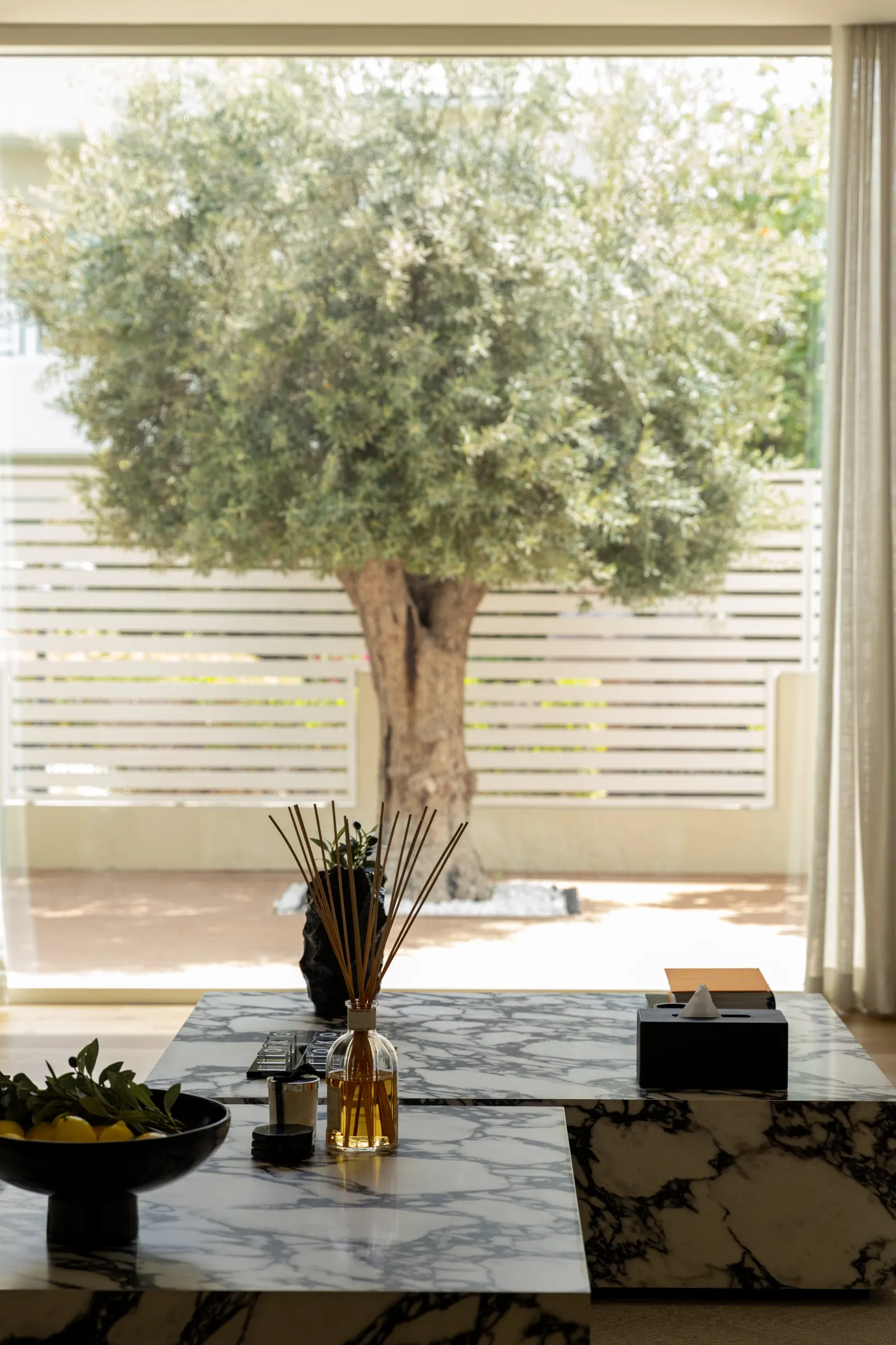 Turk Villa, gallery shot 3.